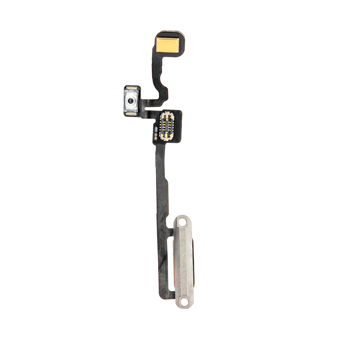 Flex Encendido Watch Serie 4 40mm